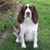 Peggy Brophy's profile image