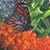 Dee Ann Blosser Nelson's profile image