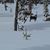 Linnea Partin Hanners's profile image