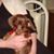 Lori A Wenzel's profile image
