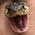 Andrew James Marshall's profile image