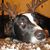 Deb Kizer's profile image