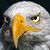 Craig Decker's profile image