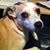 Christine Burger's profile image