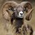 Javier Francisco Chavez's profile image