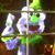 Nicole White's profile image