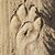 LuAnn Beal's profile image