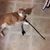 Dee Newbery's profile image