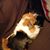 Dorrie Mckibbon's profile image
