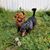 Elizabeth James's profile image