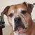 Richard Brown's profile image