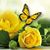Cathy Crase Billinger's profile image
