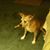 Teresa K. Moore's profile image
