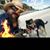 Peter Wysocki's profile image
