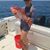 Yulia Sudareva's profile image