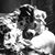 Tricia Lessard's profile image