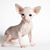 Mercedes Martinez's profile image