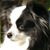 Robin Wolfe's profile image