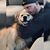 Aaron Richard's profile image