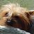Vicky Winters's profile image