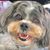 Kathy Fleming Cundiff's profile image