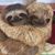 Tabatha Whitten's profile image
