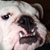 Jake Anderson's profile image