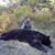 Amber Daggett's profile image