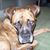 Sue Howell-Burns's profile image