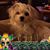 Kathleen Casey Kinler's profile image
