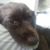 Jessica Crowell Spinks's profile image