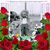 Janet Graham Johnson's profile image