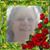 Carol Dowdican's profile image