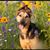Erin Pierson Stewart's profile image