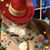 Sheila Wirig's profile image