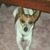 Carol Roberts's profile image