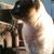 Tina L. Baumann's profile image