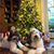 Raquel O. Chun's profile image