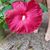 Linda Gammon's profile image