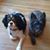 Jacobina McNally's profile image