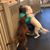 Heather Althouse's profile image