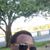 Saferrazza 'Paco' Tacneaux's profile image
