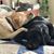 Lori Herrin's profile image