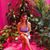 Alyssa Amodeo's profile image