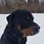 Ann Reed-Geisel's profile image