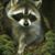 Cathy Polastrini's profile image