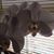 Jill Baker Ivey's profile image