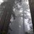 Geri Black's profile image