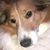 Andrea Syens's profile image
