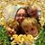 Rebecca Smith's profile image